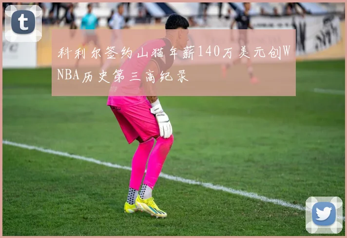 科利尔签约山猫年薪140万美元创WNBA历史第三高纪录